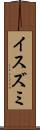 イスズミ Scroll