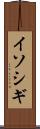 イソシギ Scroll