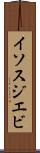 イソスジエビ Scroll