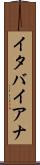 イタバイアナ Scroll