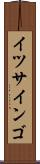 イツサインゴ Scroll