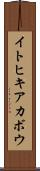 イトヒキアカボウ Scroll