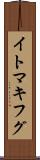 イトマキフグ Scroll