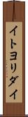イトヨリダイ Scroll
