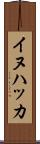 イヌハッカ Scroll