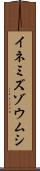イネミズゾウムシ Scroll