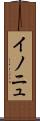 イノニュ Scroll