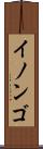 イノンゴ Scroll