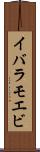 イバラモエビ Scroll