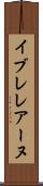 イブレレアーヌ Scroll