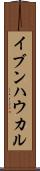 イブンハウカル Scroll