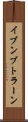 イブンブトラーン Scroll
