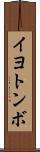 イヨトンボ Scroll