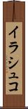 イラシュコ Scroll