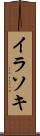 イラソキ Scroll