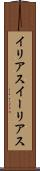 イリアス Scroll