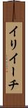イリイーチ Scroll