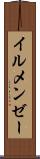 イルメンゼー Scroll