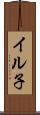 イル子 Scroll