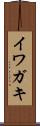 イワガキ Scroll