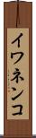 イワネンコ Scroll