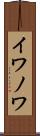 イワノワ Scroll
