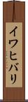 イワヒバリ Scroll