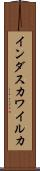 インダスカワイルカ Scroll
