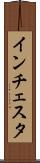 インチェスタ Scroll