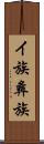 イ族 Scroll