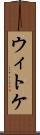 ウィトケ Scroll