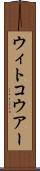 ウィトコウアー Scroll