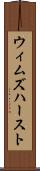 ウィムズハースト Scroll