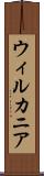 ウィルカニア Scroll