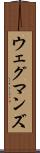 ウェグマンズ Scroll