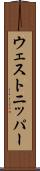 ウェストニッパー Scroll