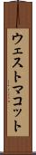 ウェストマコット Scroll