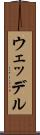 ウェッデル Scroll