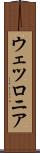 ウェツロニア Scroll