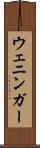 ウェニンガー Scroll