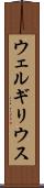 ウェルギリウス Scroll