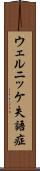 ウェルニッケ失語症 Scroll