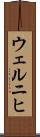 ウェルニヒ Scroll