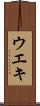 ウエキ Scroll