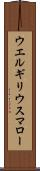 ウエルギリウスマロー Scroll