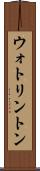 ウォトリントン Scroll