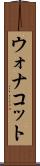 ウォナコット Scroll