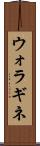 ウォラギネ Scroll