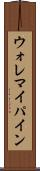 ウォレマイ・パイン Scroll