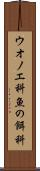 ウオノエ科 Scroll